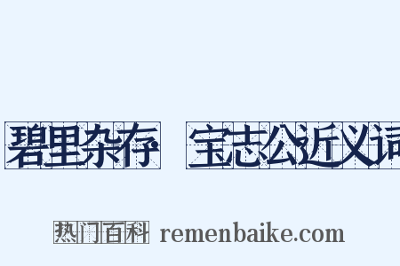 碧里杂存·宝志公近义词是什么意思的图片